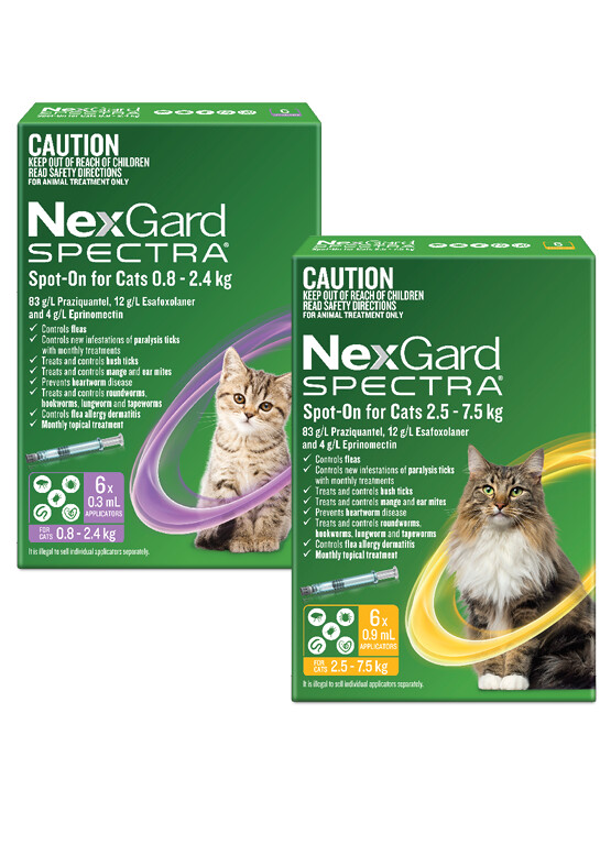 NEXGARD SPECTRA SPOT-ON FOR CATS 3 PACK 0.8-2.4KG