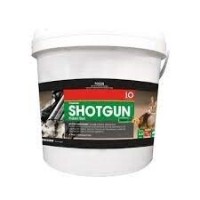 iO SHOTGUN OATBAIT PINDONE 10kg ( bunnybait equiv )