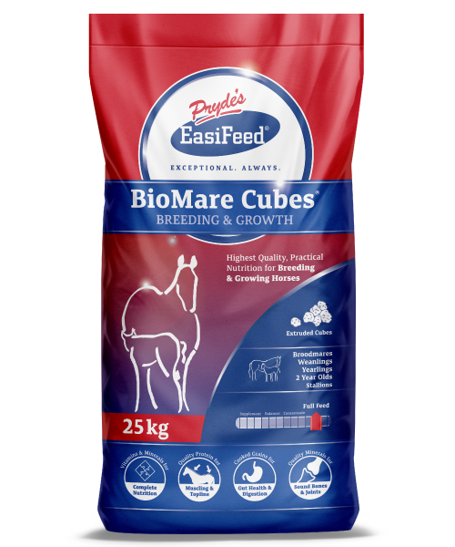 PRYDES BIOMARE CUBES 20KG    {A1.1}