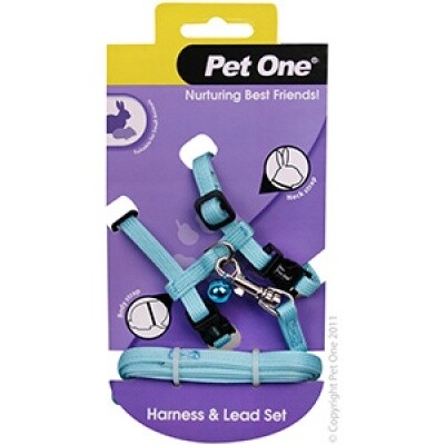 Leash &amp; Harness Rabbit Guinea Pig Ferret Aq