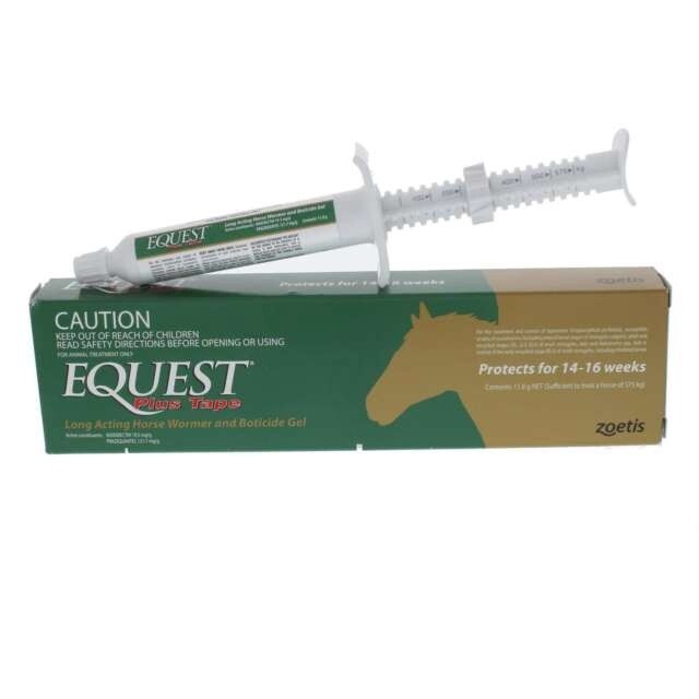 EQUEST PLUS TAPE GEL 14.4G SYRINGES
