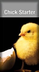 LAUCKE CHICK STARTER 20KG
