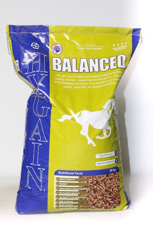 HYGAIN BALANCED 20KG   {A3.3-4}