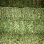 COWRA - FIRST GRADE LUCERNE HAY