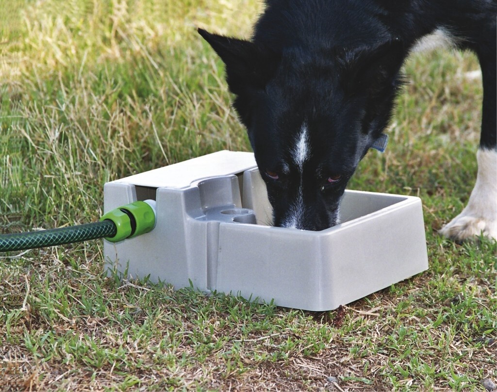 BAINBRIDGE AUTOMATIC PET WATERER