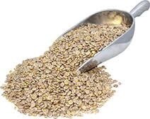 ROBANK EQUI-NIZE BARLEY 20KG   {A2.2}
