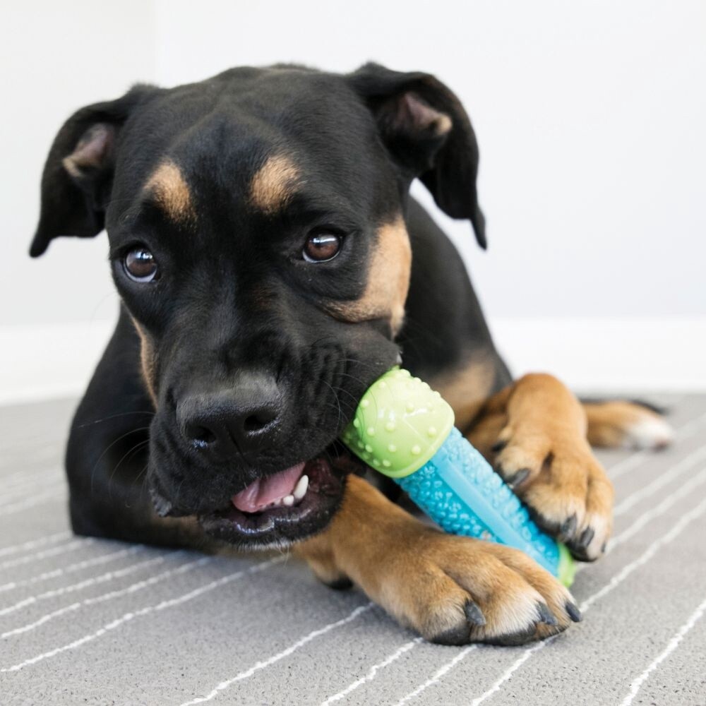 KONG CORESTRENGTH BONE SMALL/MEDIUM