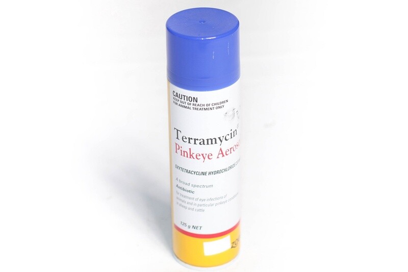 TERRAMYCIN PINKEYE AEROSOL 125GM