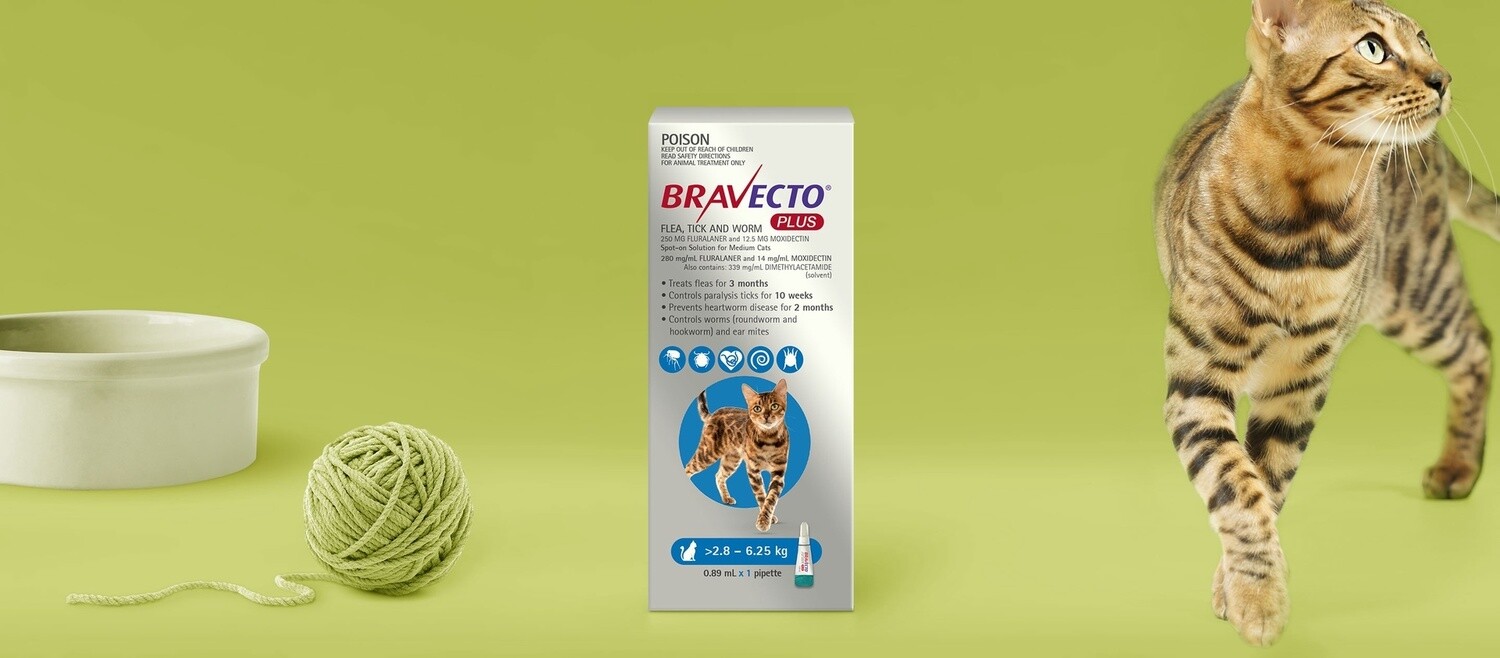 BRAVECTO PLUS CAT BLUE 2.8-6.25KG 2 MONTH TREATMENT