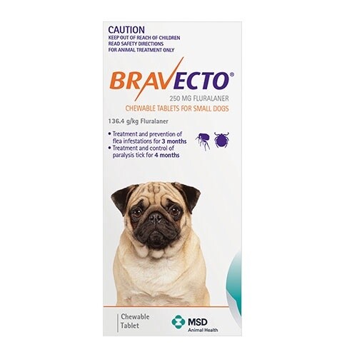 BRAVECTO CHEW ORANGE (4.5-10KG)