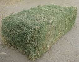 TEFF HAY BALE