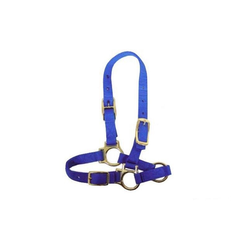 SHEEP AND GOAT HALTER BLUE