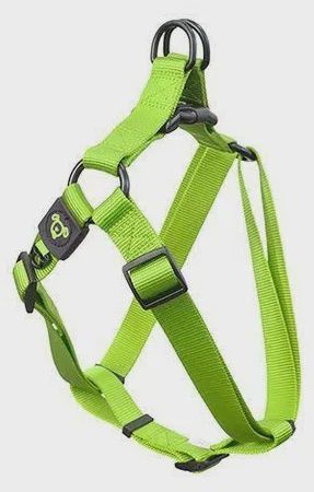 BAINBRIDGE NYLON STEP IN MEDIUM HARNESS GREEN