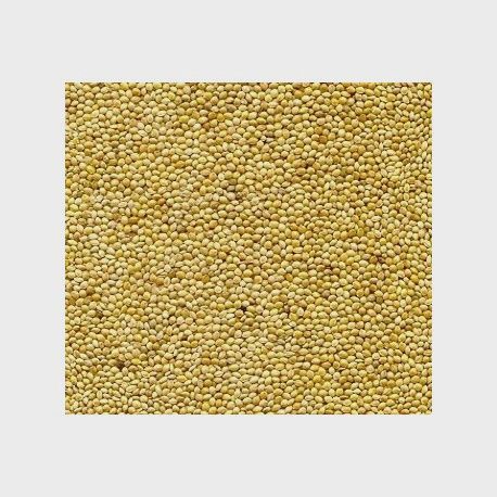 JAP - SHIROHIE MILLET 15KG