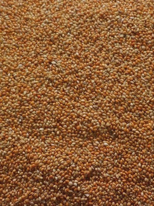 RED MILLET / PANICUM 20KG