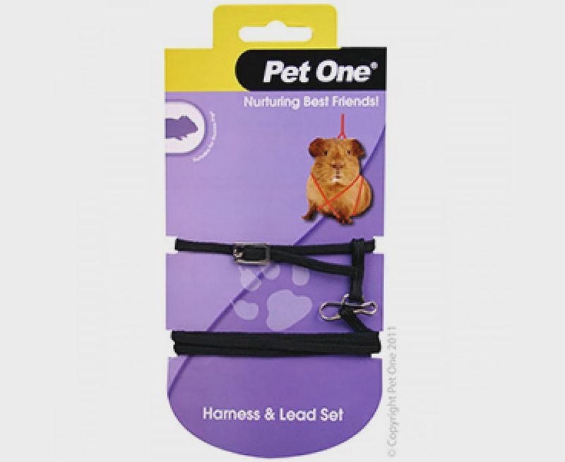 Leash &amp; Harness Guinea Pig - Black