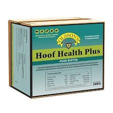 OLSSON HOOF HEALTH PLUS LICK BLOCK 20KG