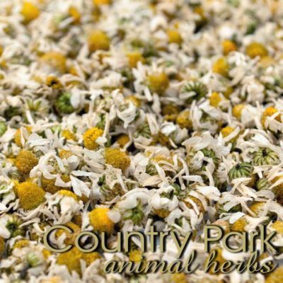 CHAMOMILE FLOWERS 1KG
