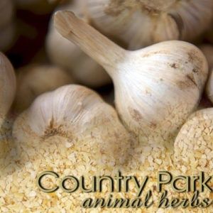 GARLIC GRANULES 5KG