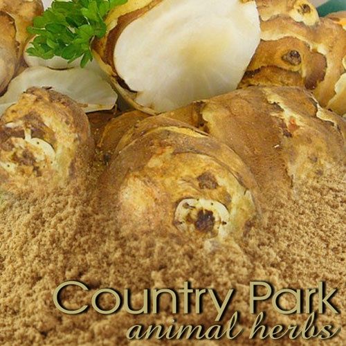 GINGER POWDER 1KG