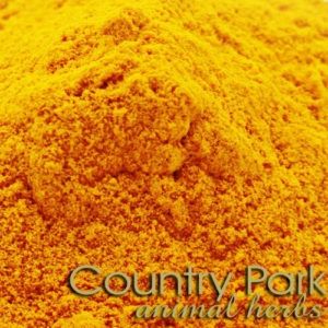 TURMERIC 1KG