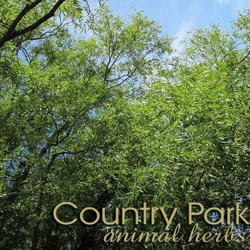 WHITE WILLOW BARK CUT 1KG