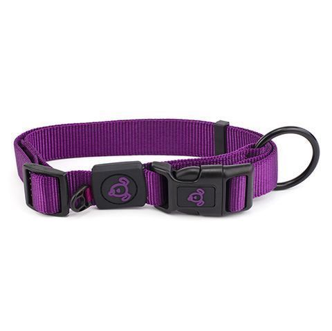 NYLON DOG COLLAR XS PURPLE