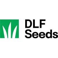 VNS / ASTRO TETRAPLOID RYEGRASS SEED (IMPROVED TETILLA ) 25KG