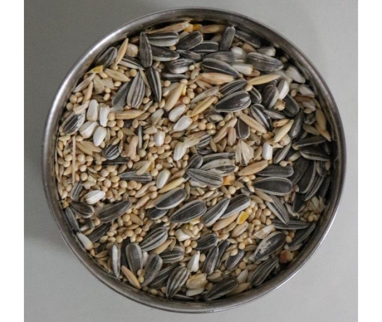 MURPHYS SMALL PARROT MIX 5KG