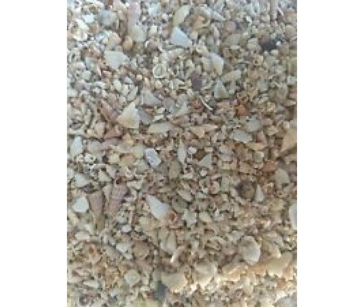 AVIGRAIN MEDIUM SHELLGRIT 20KG