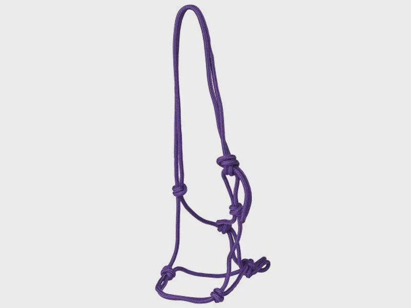 RANCHER MINI ROPE HALTER SMALL PURPLE  RAN5270SPU