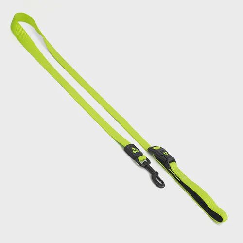 BAINBRIDGE NYLON DOG LEAD LARGE A7177 - GREEN