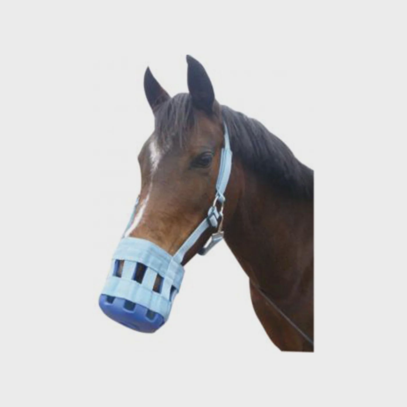 GRAZING MUZZLE FULL LIGHT BLUE/ROYAL 8325 ST