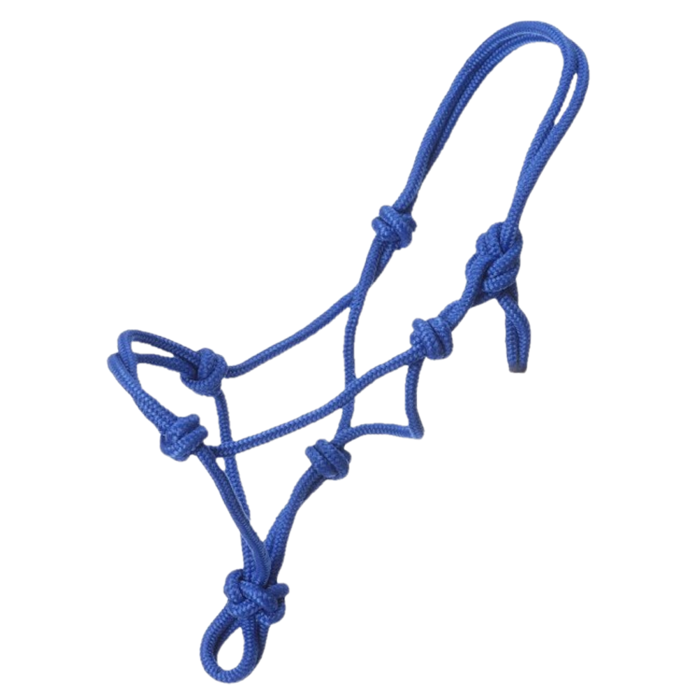 HALTER RANCHER MINI ROPE LARGE BLUE