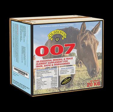 007 HORSE BLOCK - 20KG