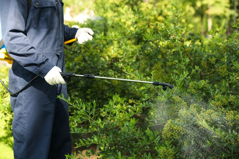Integra Insecticide Insecticide | Shop Products To Manage Insects on Your Farm