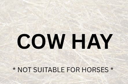 COW HAY