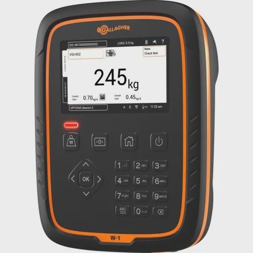 GALLAGHER W-1 WEIGH SCALE G02501