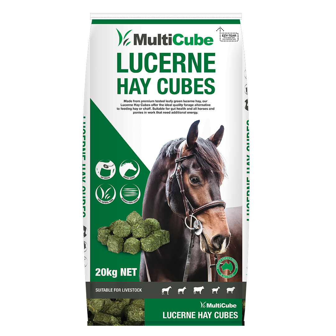 MULTICUBE LUCERNE HAY CUBES