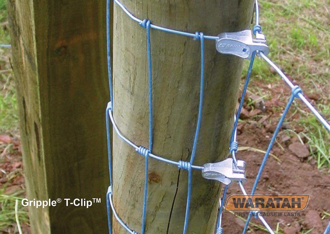 WARATAH T-GRIPPLE MED (BAG 20)