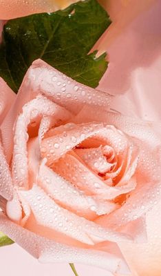 Mask &amp; Acne Patches