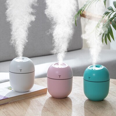 cool mist sprayer portable