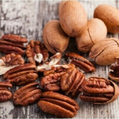 AN- Noix de pécan bio avec coques 1 kg - 12/11