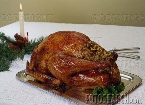 V- Dinde des Landes - 23/12