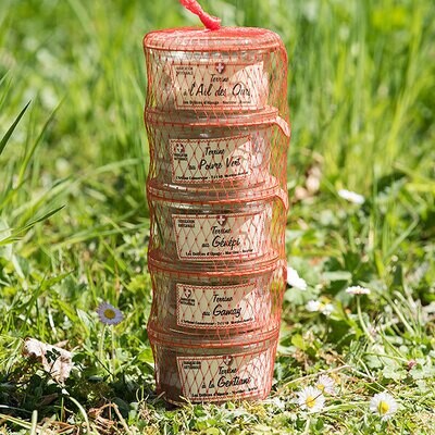 V- Lot de terrines - 10/12