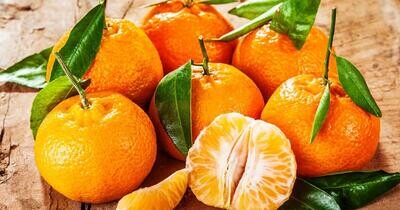 AN- Mandarines bio 5 kg - 12/11