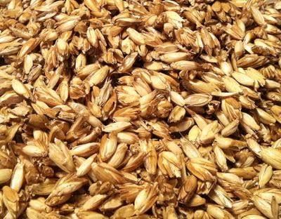 E- Farine de grand épeautre bio 1 kg - 01/10