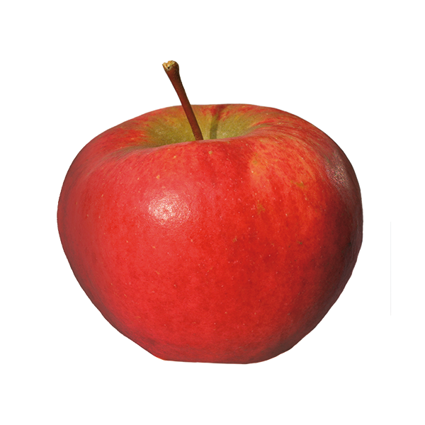 A- Pommes bio 13 kg - 23/12