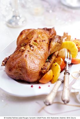 V- Oie fermière des Landes - 23/12