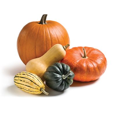 A- Courge bio à la pièce (CLAVELERE) - 15/10